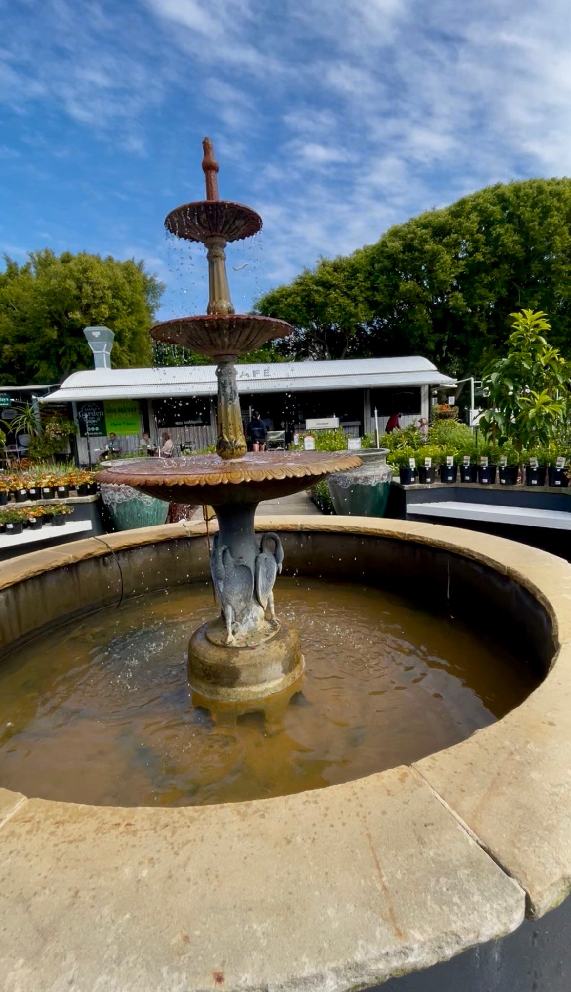 Hidden Garden Cafe in Mascot, Sydney — photo 1 of 2