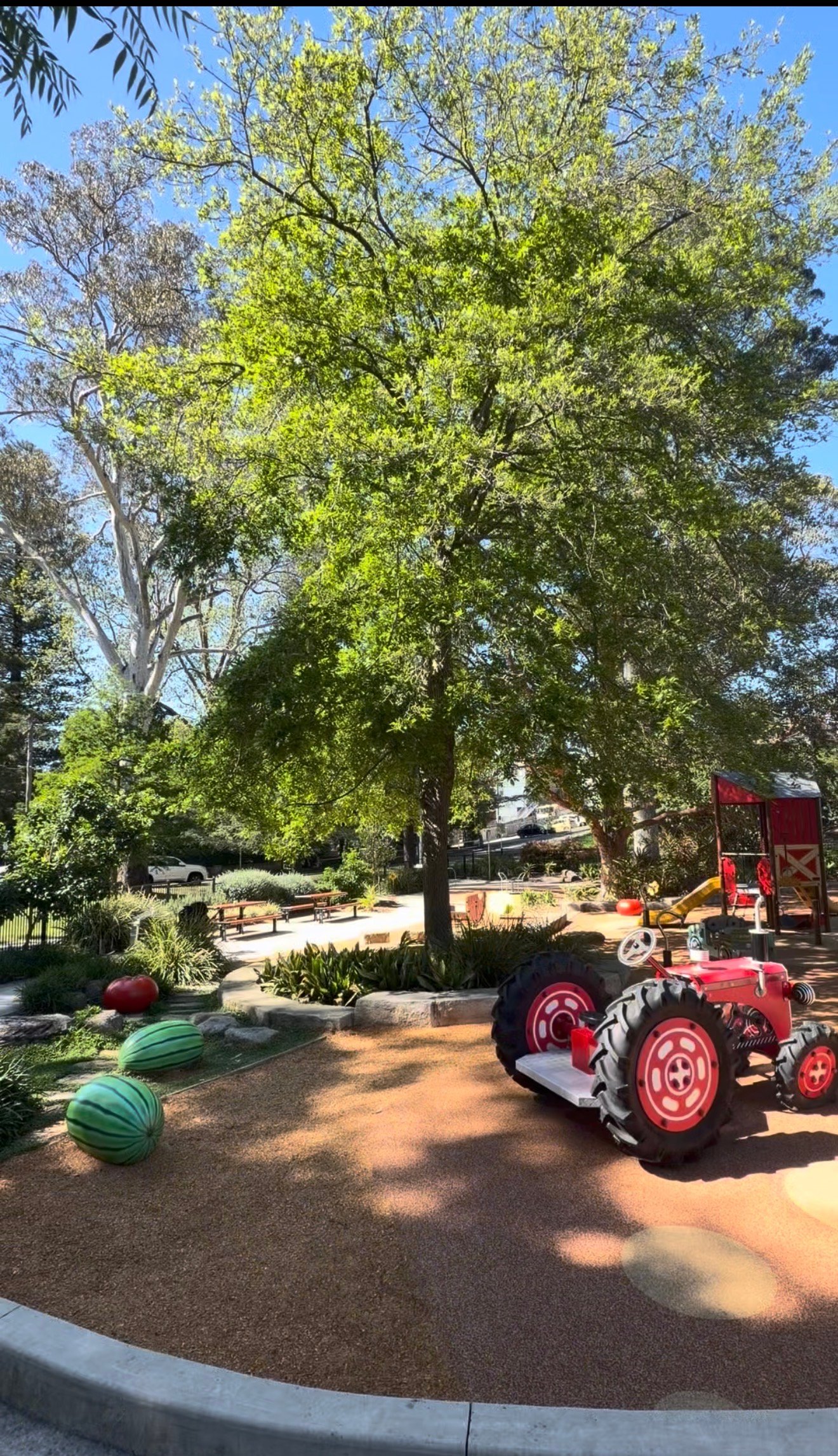 Robert Pymble Park in Pymble, Sydney — photo 1 of 6